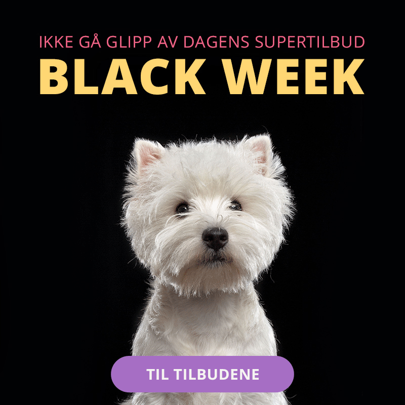 Annonse for Black Week, med bilde av liten hund